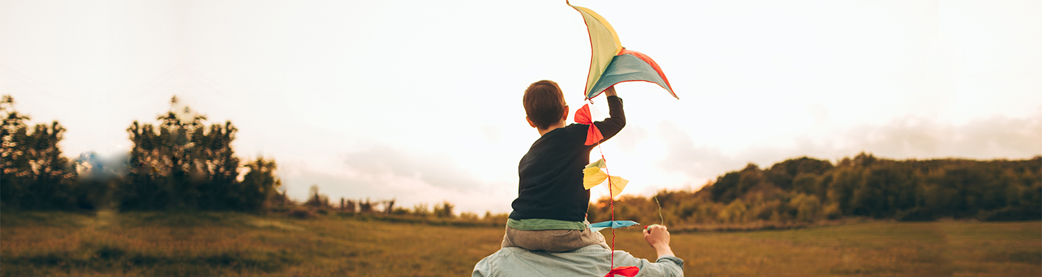 Seguros de Vida Riesgo de Reale Seguros de Vida Riesgo de Reale